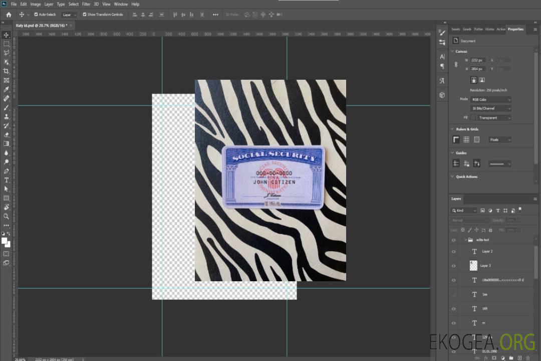 USA SSN photolook fond zèbre AVANT template USA SSN photolook fond zèbre AVANT template